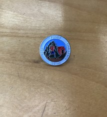 Lapel Pin Fundy Challenge