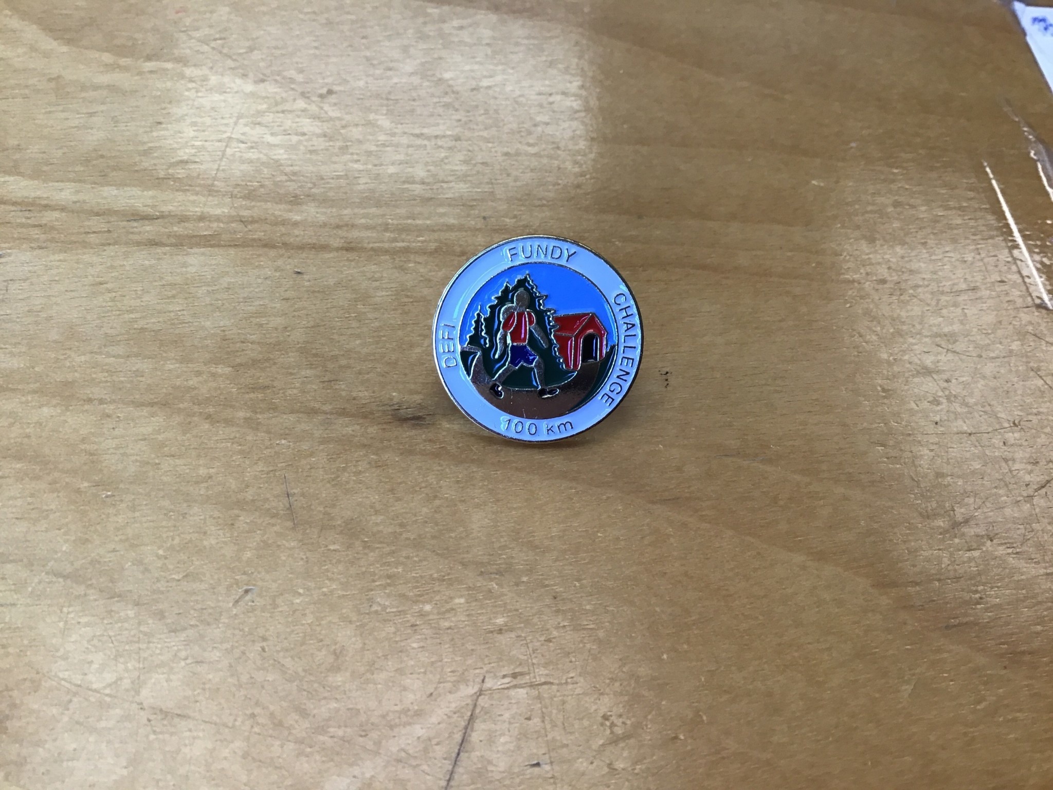 Lapel Pin Fundy Challenge