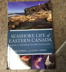 SEASHORE LIFE OF EASTERN CANADA