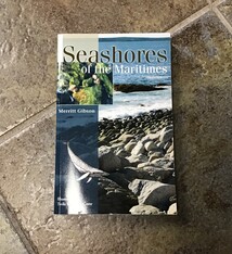 SEASHORES OF THE MARITIMES