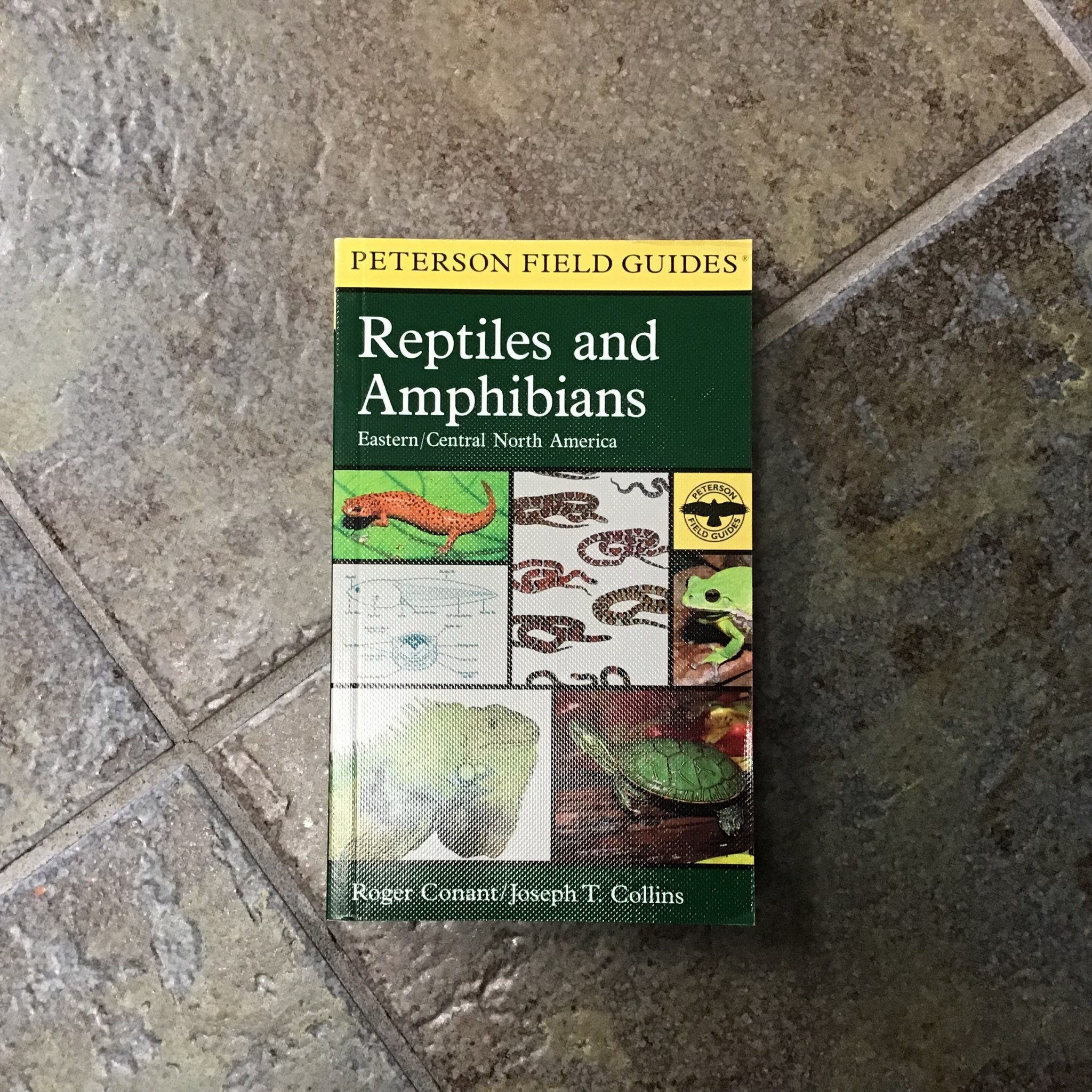 PETERSON FIELD GUIDE REPTILES AND AMPHIBIANS