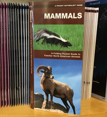 FOLDING GUIDE MAMMALS FAMILIAR NA