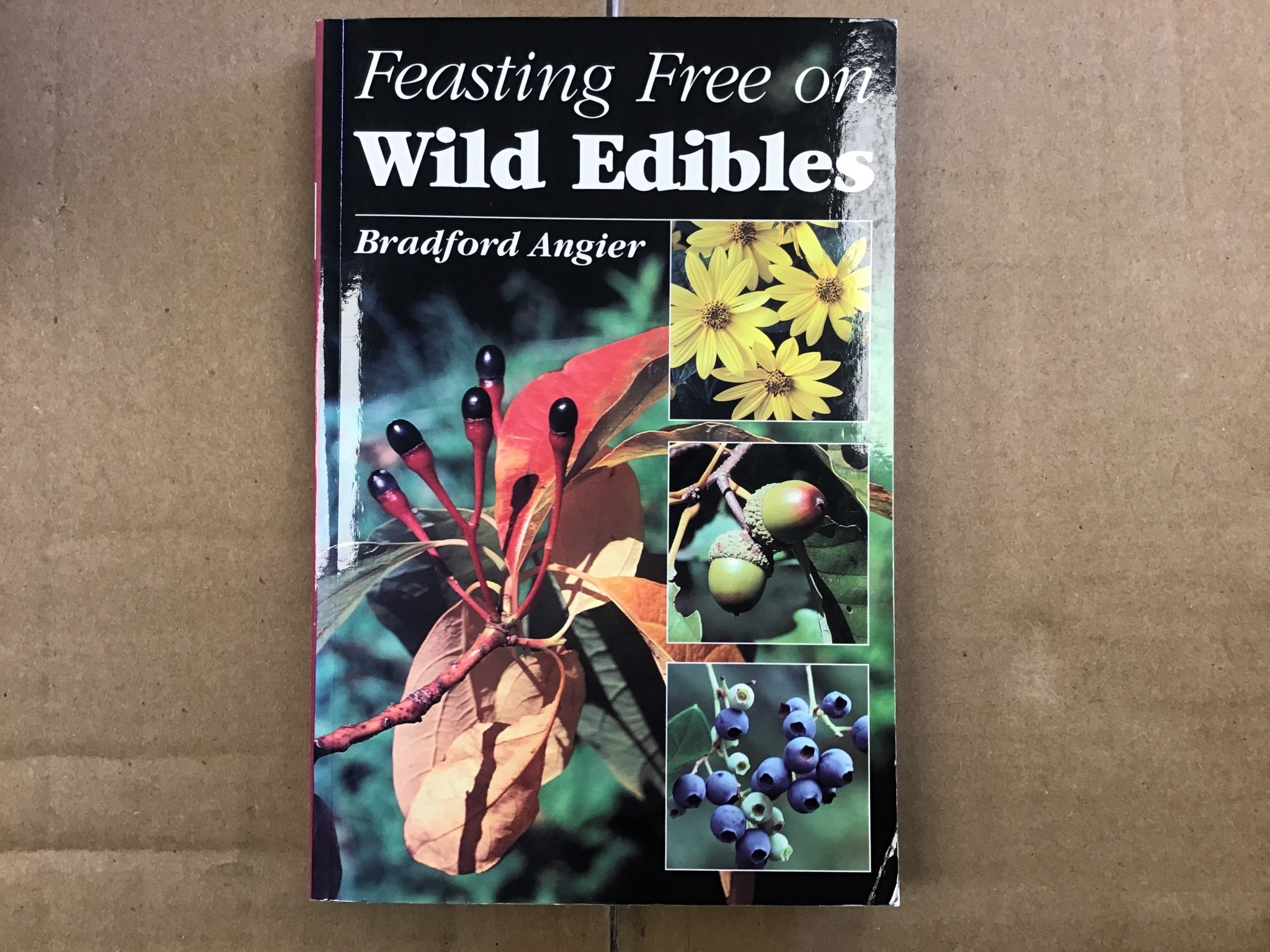 FEASTING FREE ON WILD EDIBLES
