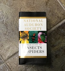 NAS FIELD GUIDE INSECTS & SPIDERS