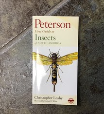PETERSON FIRST GUIDE INSECTS OF NA