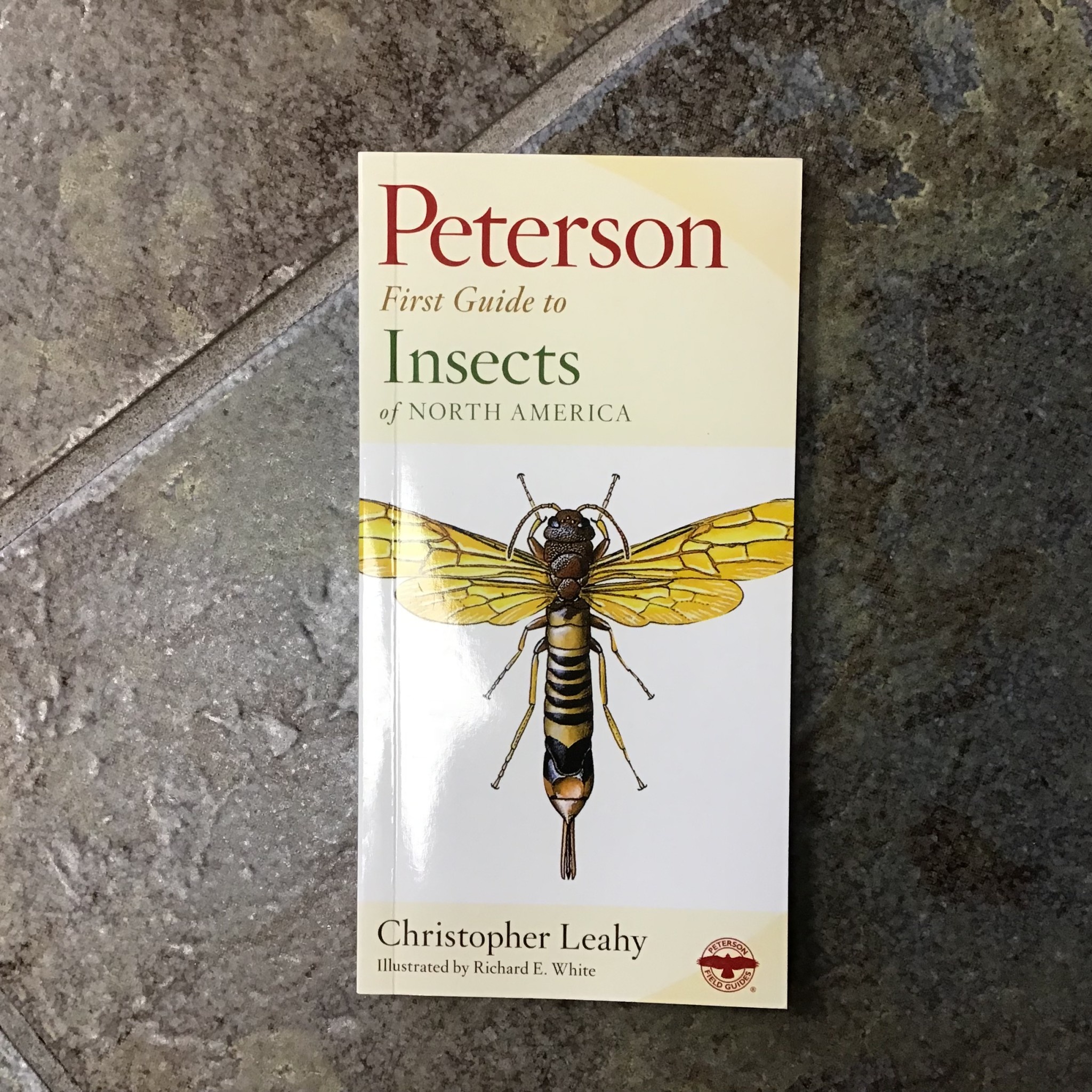 PETERSON FIRST GUIDE INSECTS OF NA