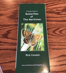 POCKET GUIDE TO BUTTERFLIES OF THE MARITIMES