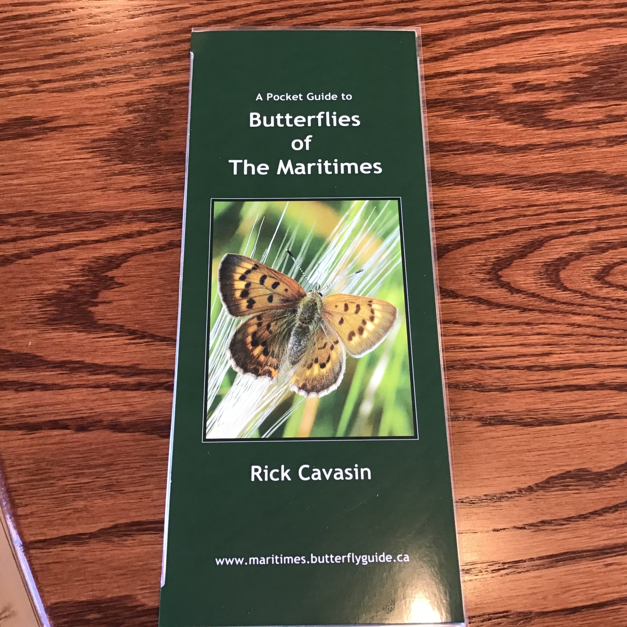 POCKET GUIDE TO BUTTERFLIES OF THE MARITIMES