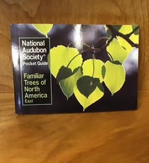 NAS POCKET GUIDE FAMILIAR TREES OF EASTERN CANADA