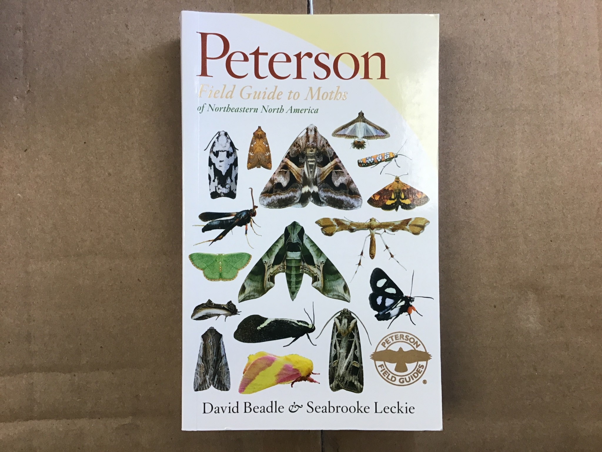 PETERSON FIELD GUIDE TO MOTHS