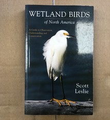 WETLAND BIRDS OF NORTH AMERICA