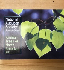NAS POCKET GUIDE FAMILIAR TREES OF NORTH AMERICA EAST