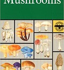 PETERSON FIELD GUIDE MUSHROOMS