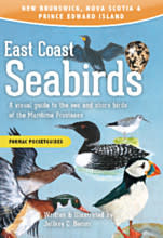 East Coast Seabirds