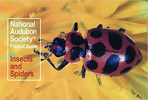 NAS POCKET GUIDE INSECTS AND SPIDERS