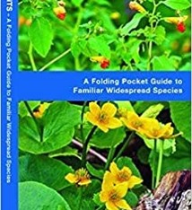 FOLDING GUIDE MEDICINAL PLANTS