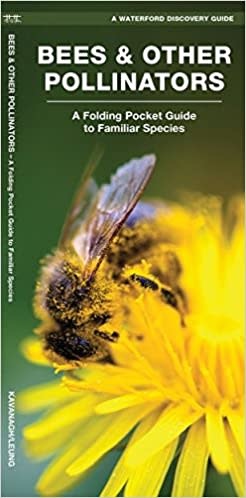 FOLDING GUIDE BEES & OTHER POLLINATORS
