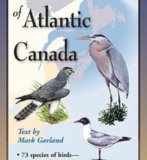 FOLDING GUIDE COASTAL BIRDS OF ATLANTIC CANADA