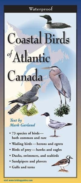 FOLDING GUIDE COASTAL BIRDS OF ATLANTIC CANADA