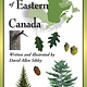 FOLDING GUIDE SIBLEY'S COMMON TREES EASTERN CANADA