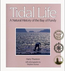 TIDAL LIFE NATURAL HISTORY OF BAY OF FUNDY