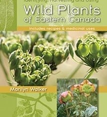 WILD PLANTS OF EASTERN CANADA
