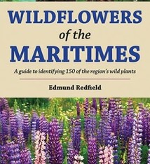 WILDFLOWERS OF THE MARITIMES