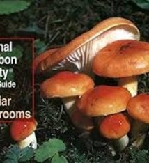 NAS POCKET GUIDE FAMILIAR MUSHROOMS
