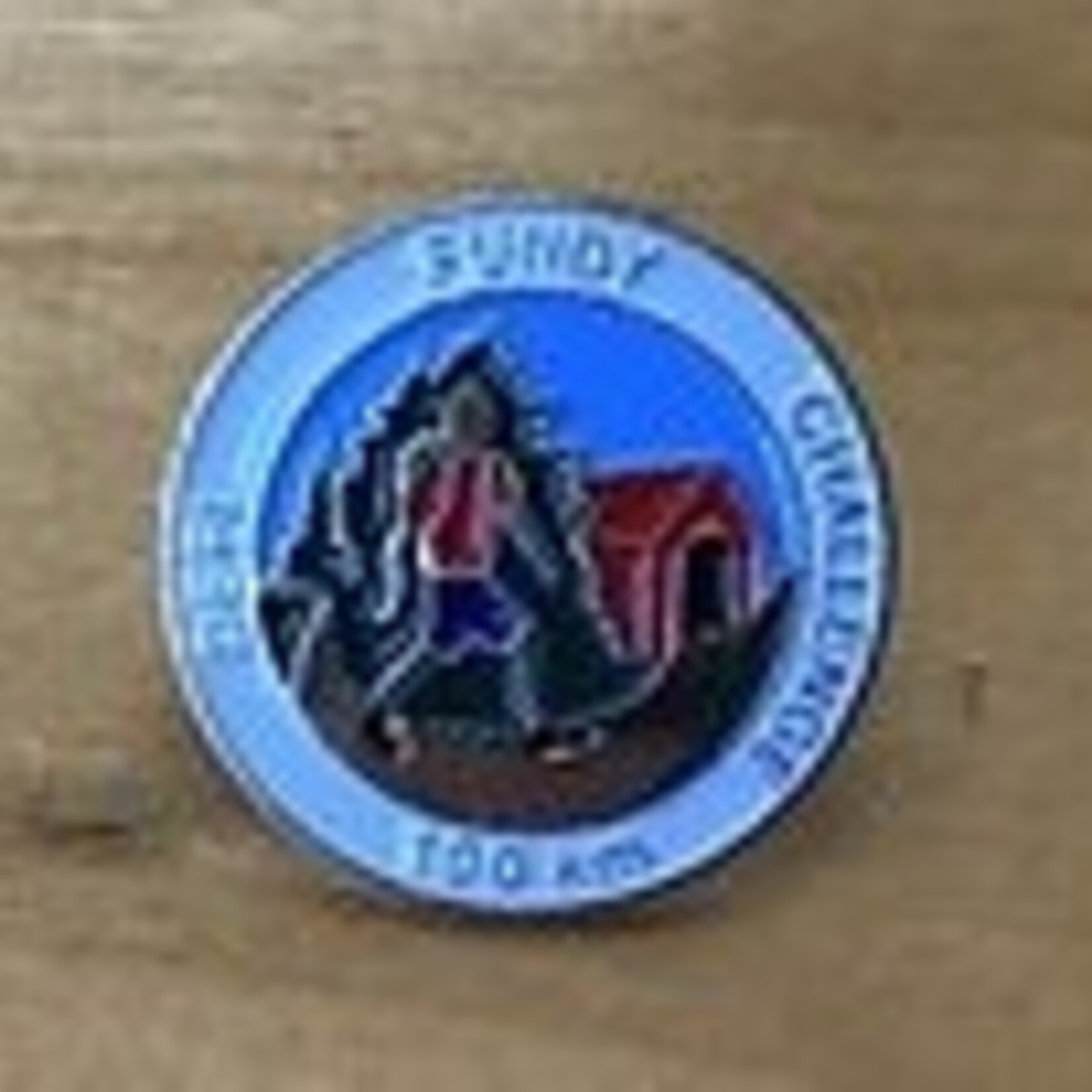 Lapel Pin Fundy Challenge