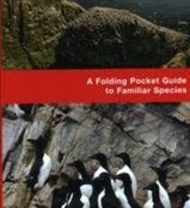 FOLDING GUIDE ATLANTIC CANADA BIRDS