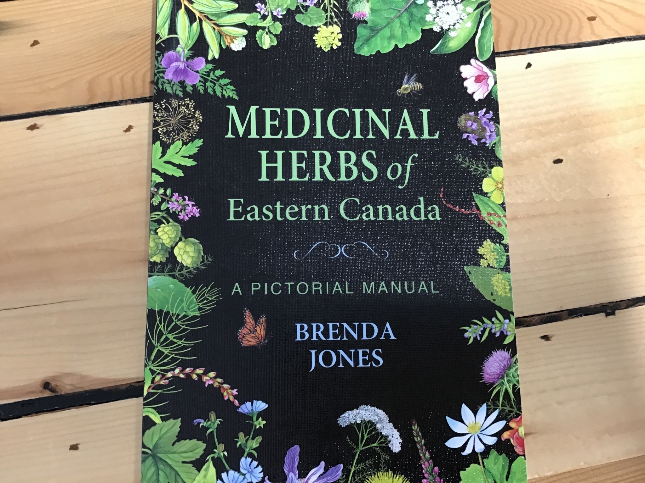 MEDICINAL HERBS OF EASTERN CANADA