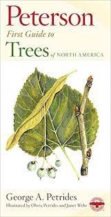 PETERSON FIRST GUIDE TO TREES OF NA