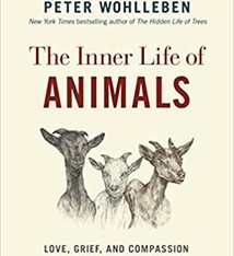 THE INNER LIFE OF ANIMALS