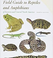 PETERSON FIRST GUIDE REPTILES & AMPHIBIANS