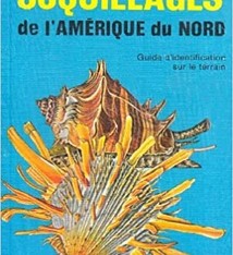 GUIDE DES COQUILLAGES DE L'AMERIQUE DU NORD