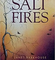 SALT FIRES