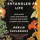 ENTANGLED LIFE