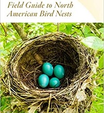 PETERSON FIELD GUIDE NORTH AMERICAN BIRD NESTS