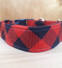 Lucy's Dog Collar