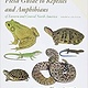 PETERSON FIRST GUIDE REPTILES & AMPHIBIANS