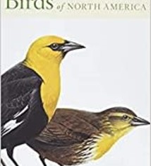PETERSON FIRST GUIDE TO BIRDS OF NORTH AMERICA