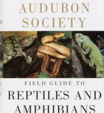 NAS FIELD GUIDE REPTILES AND AMPHIBIANS