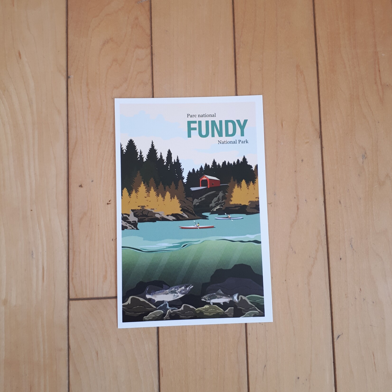 Postcard Vintage Fundy