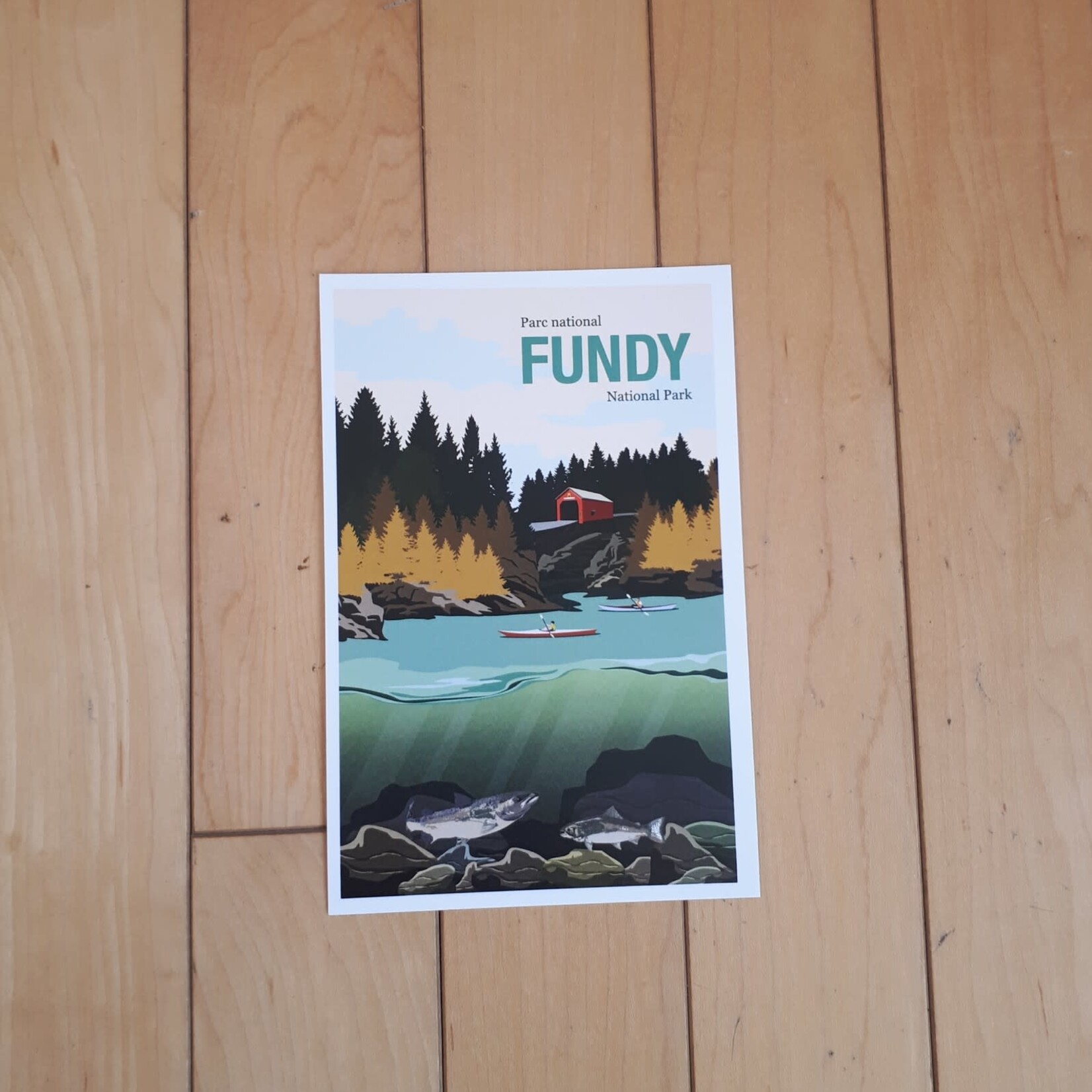 Postcard Vintage Fundy