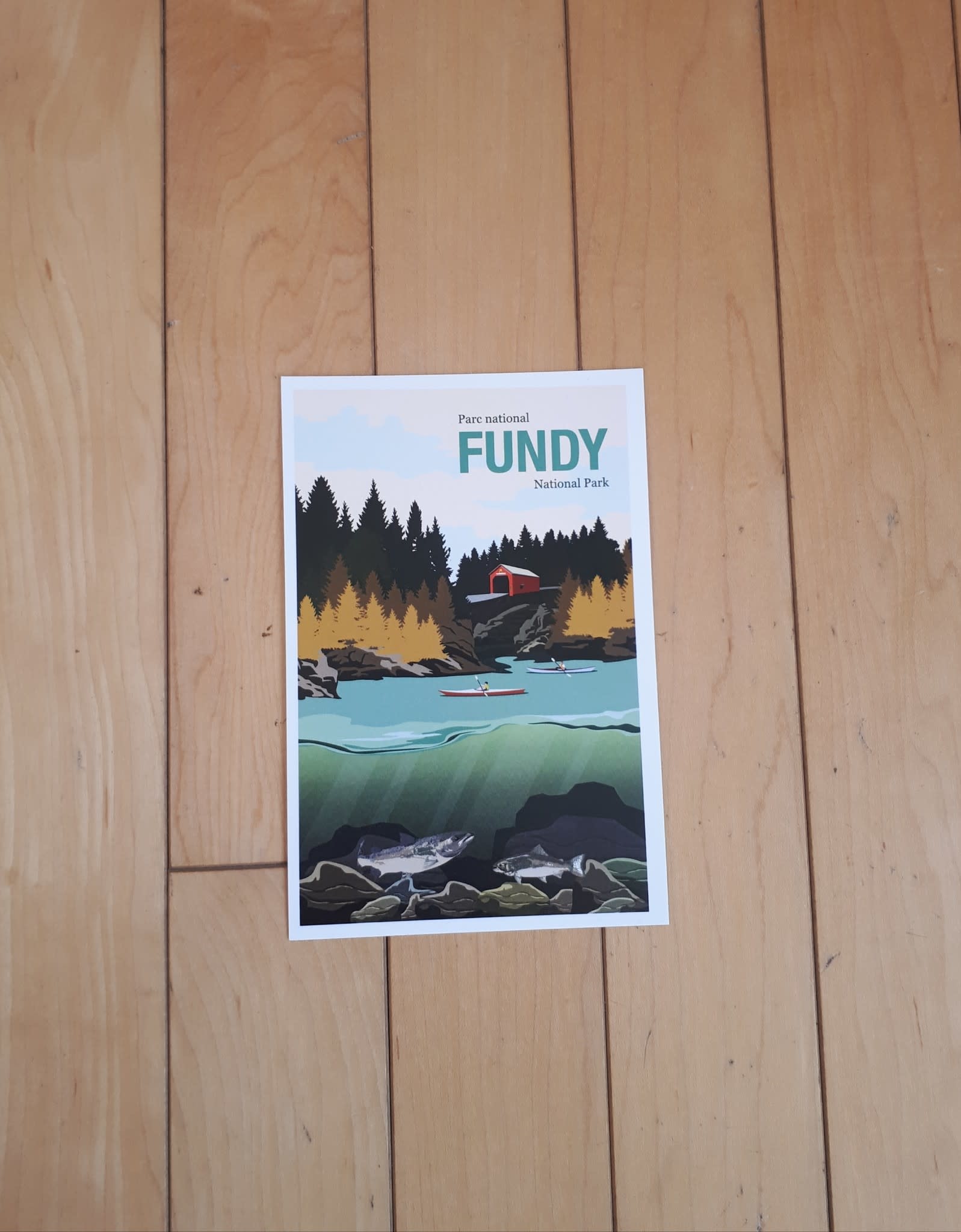 Postcard Vintage Fundy