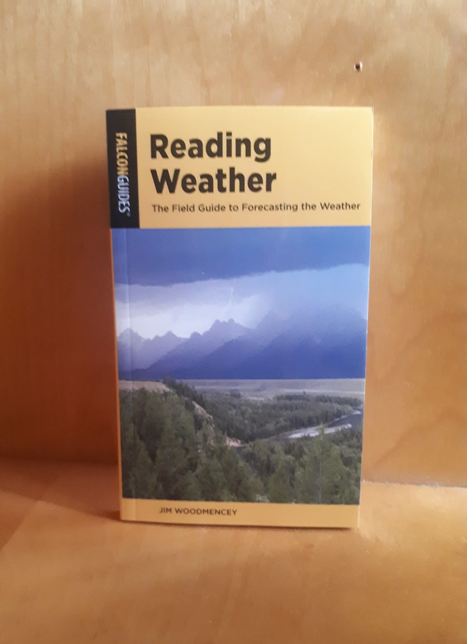 READING WEATHER