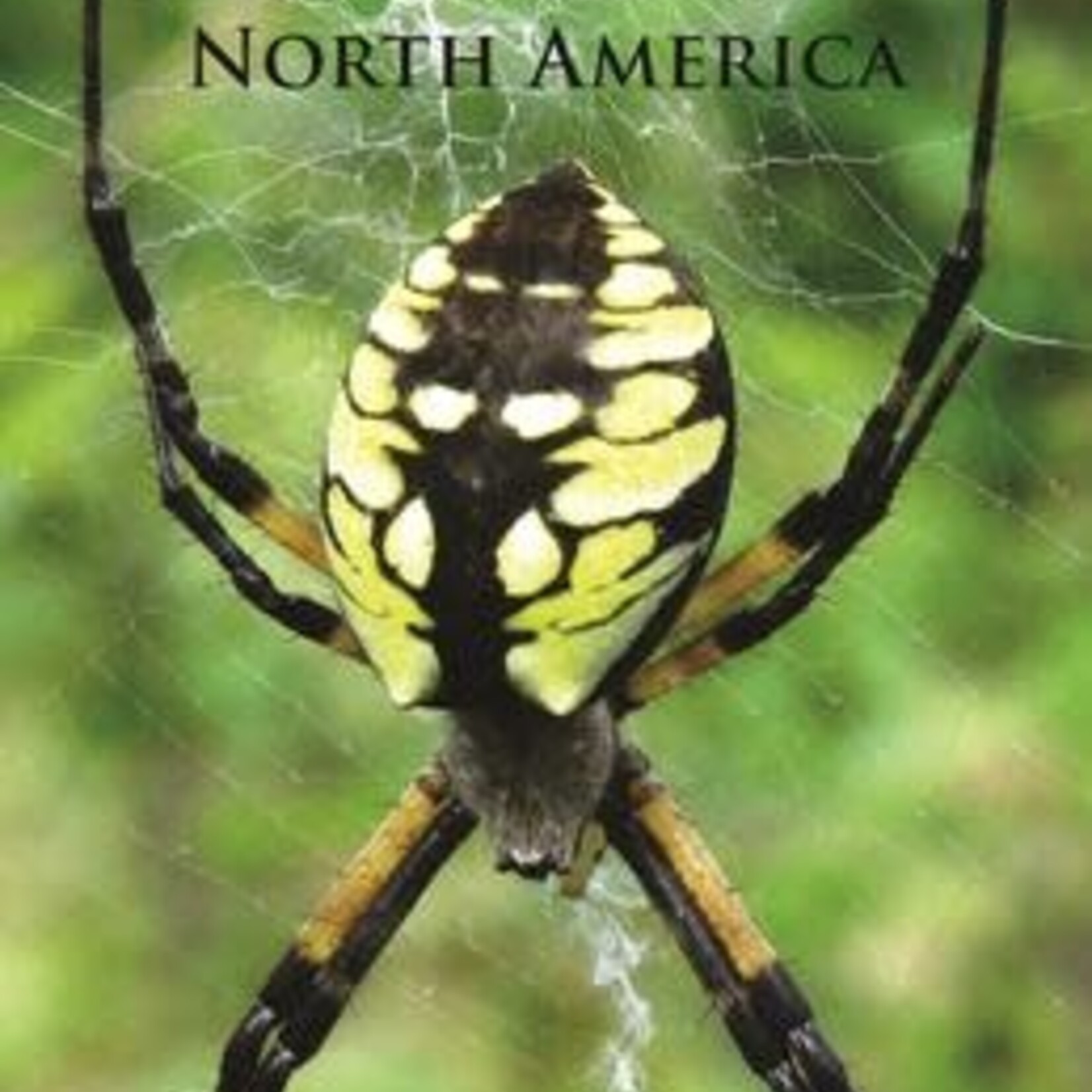 PRINCETON FG SPIDERS OF NORTH AMERICA