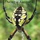 PRINCETON FG SPIDERS OF NORTH AMERICA