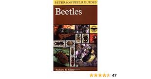 PETERSON FIELD GUIDES BEETLES