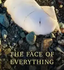 NIMBUS THE FACE OF EVERYTHING